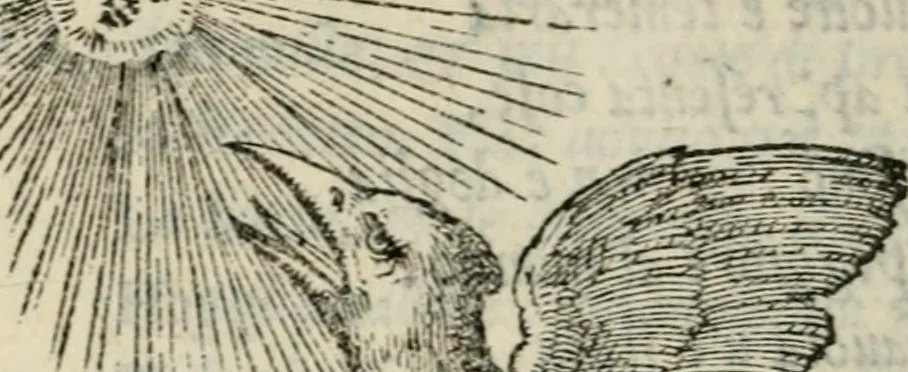 An illustration from I fantasmi : comedia del S. Hercole Bentivoglio, 1547, leaf 171