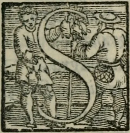 An illustration from I fantasmi : comedia del S. Hercole Bentivoglio, 1547, leaf 70