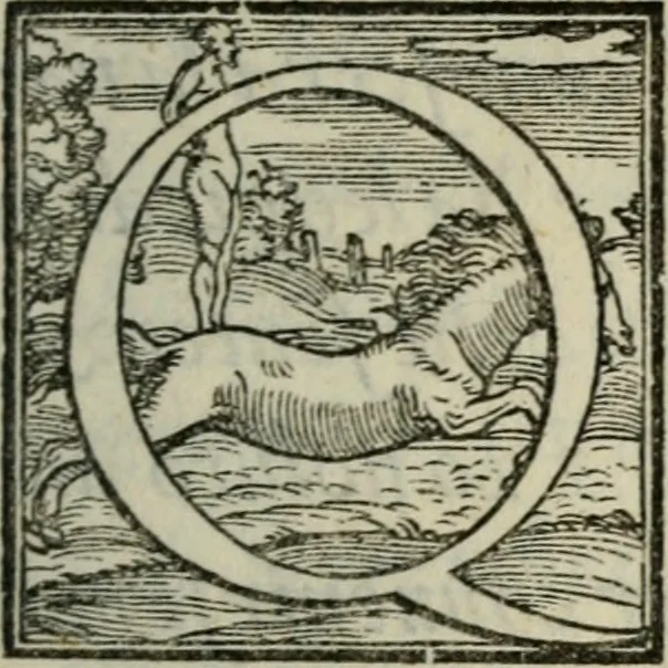 An illustration from I fantasmi : comedia del S. Hercole Bentivoglio, 1547, leaf 8