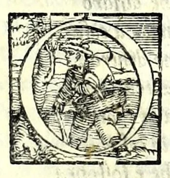 An illustration from I fantasmi : comedia, 1545, leaf 49