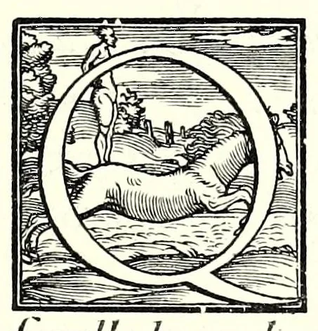 An illustration from I fantasmi : comedia, 1545, leaf 5