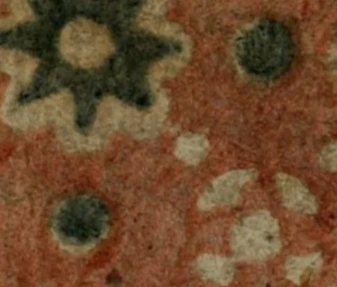 An illustration from I gioieli pittoreschi : virtuoso ornamento della città di Vicenza : cioè l'endice di tutte le pitture publiche della stessa città, 1676, leaf 155