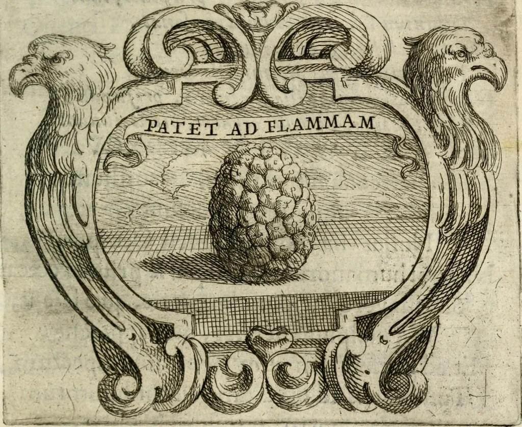 An illustration from Ignatius : insignium, epigrammatum et elogiorum centuriis expressus, 1655, leaf 302