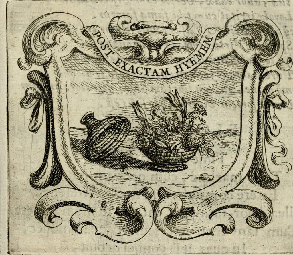 An illustration from Ignatius insignium : epigrammatum et elogiorum centuriis expressus, 1655, leaf 214