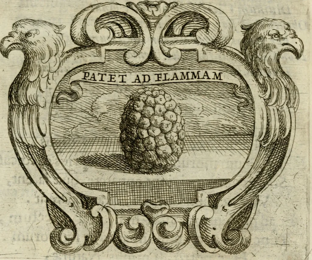 An illustration from Ignatius insignium : epigrammatum et elogiorum centuriis expressus, 1655, leaf 304
