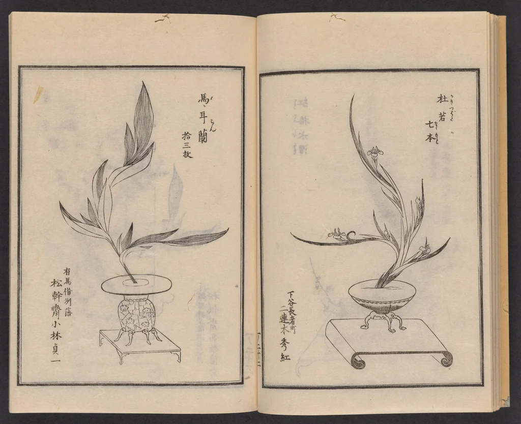 An illustration from Ikebana chiyo no matsu, 1818, leaf 22