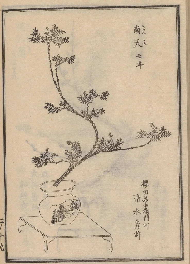 An illustration from Ikebana chiyo no matsu, 1818, leaf 21