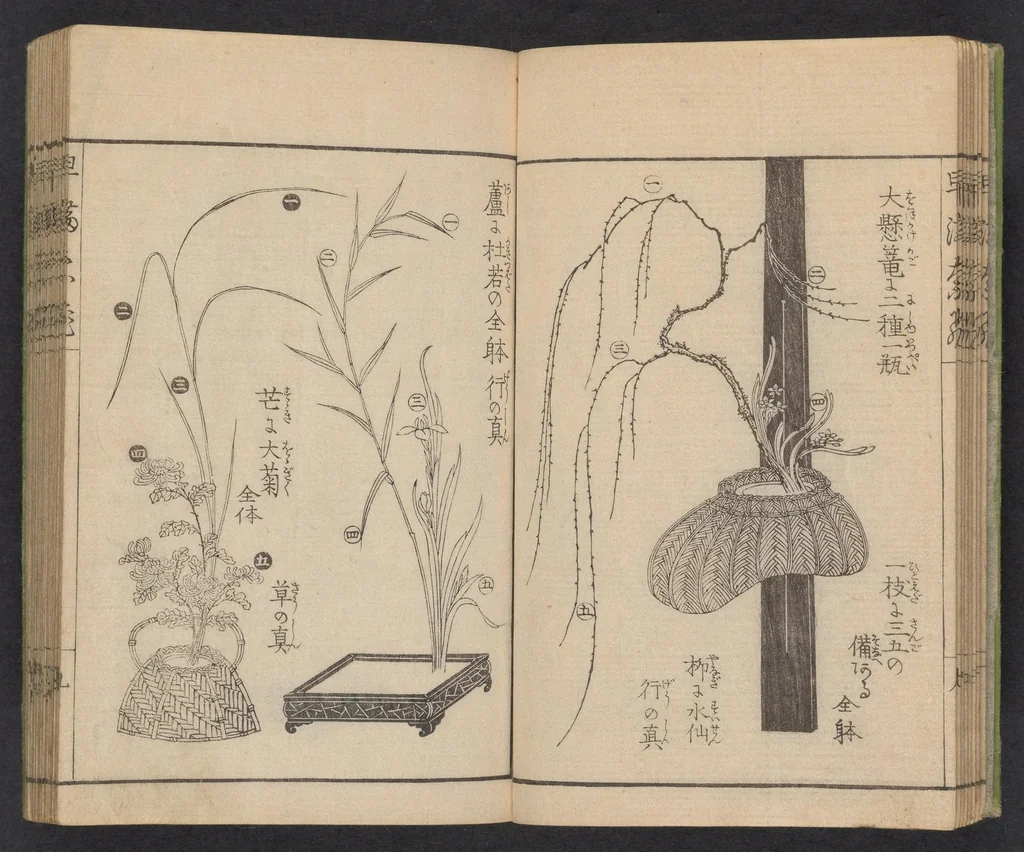 An illustration from Ikebana hayamanabi, 1851, leaf 10