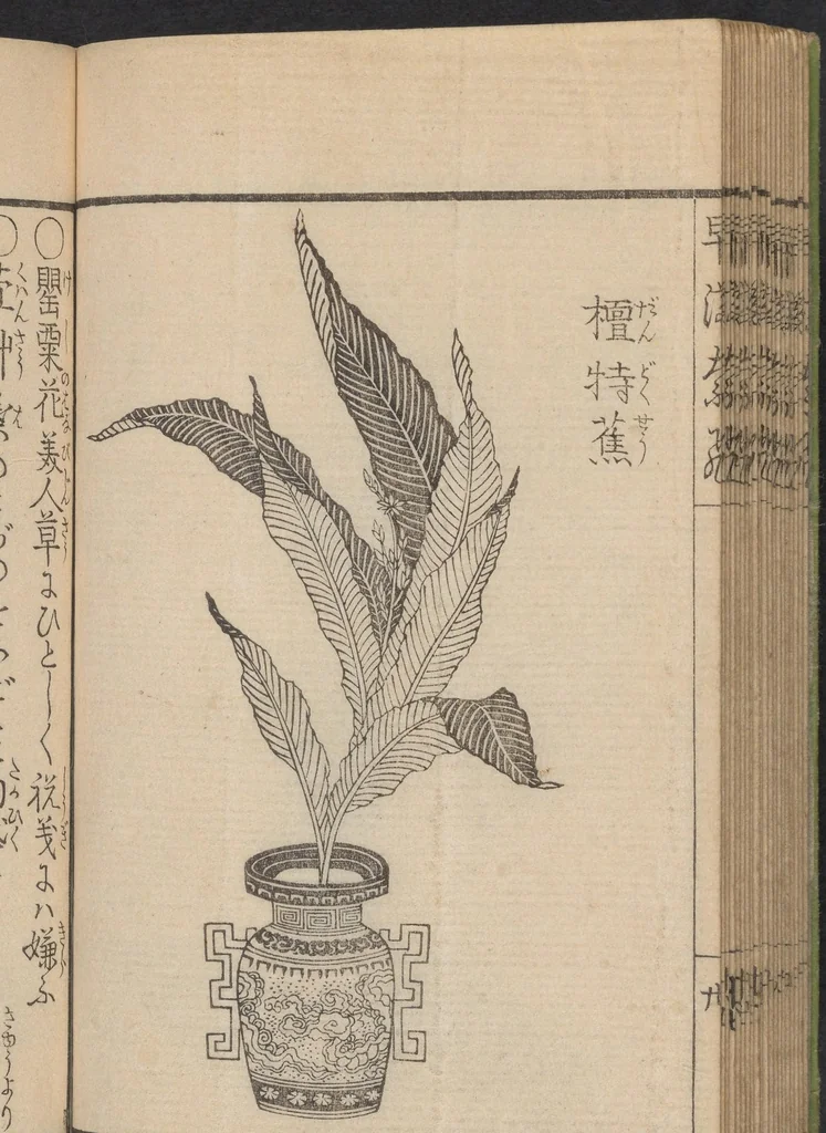 An illustration from Ikebana hayamanabi, 1851, leaf 22
