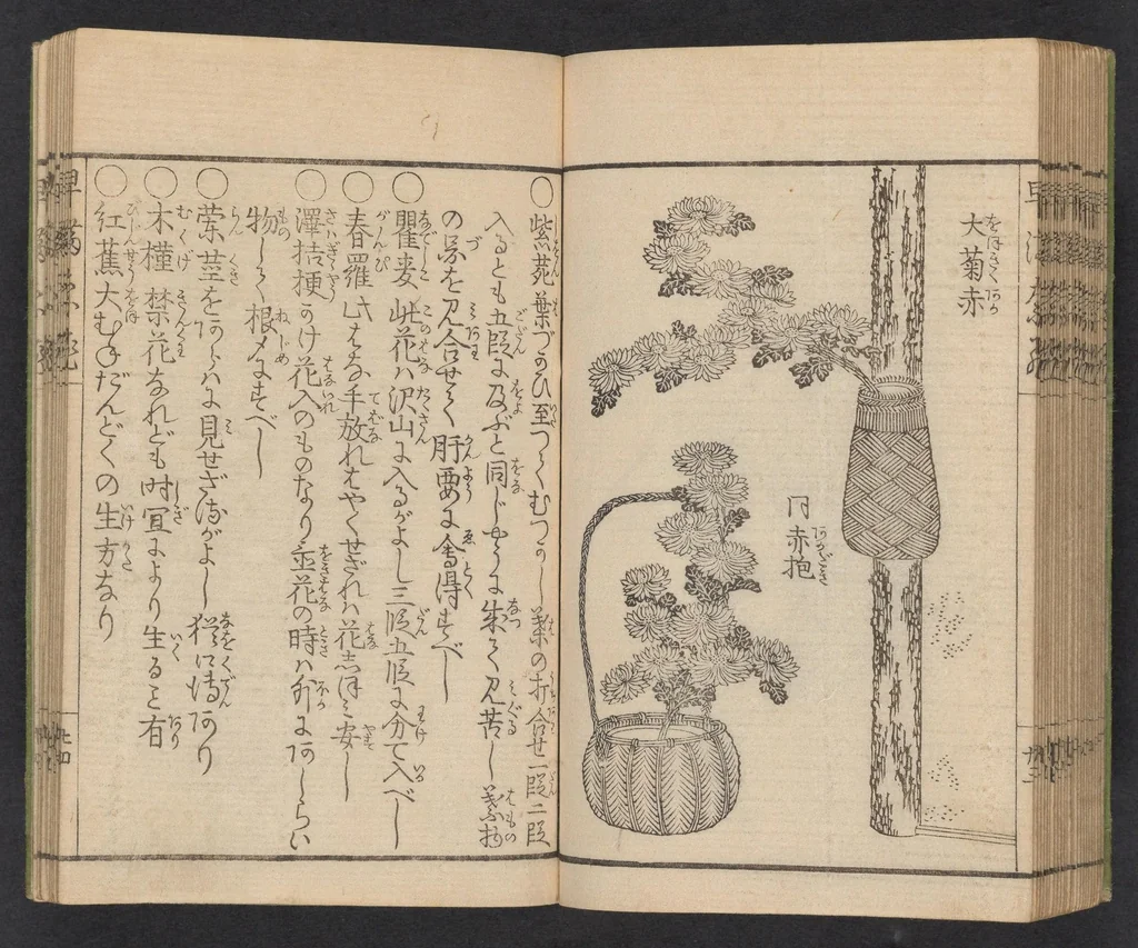An illustration from Ikebana hayamanabi, 1851, leaf 25