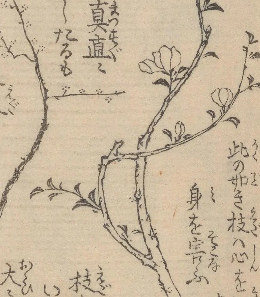 An illustration from Ikebana hayamanabi, 1851, leaf 10