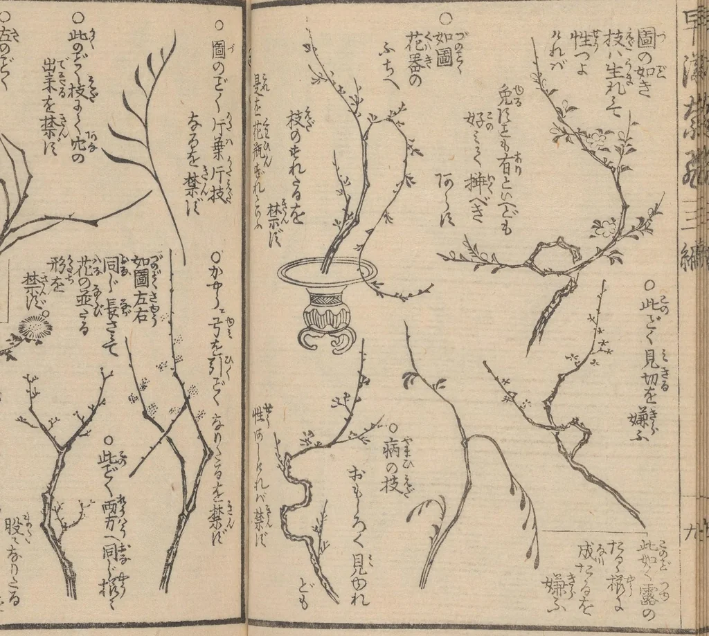 An illustration from Ikebana hayamanabi, 1851, leaf 11