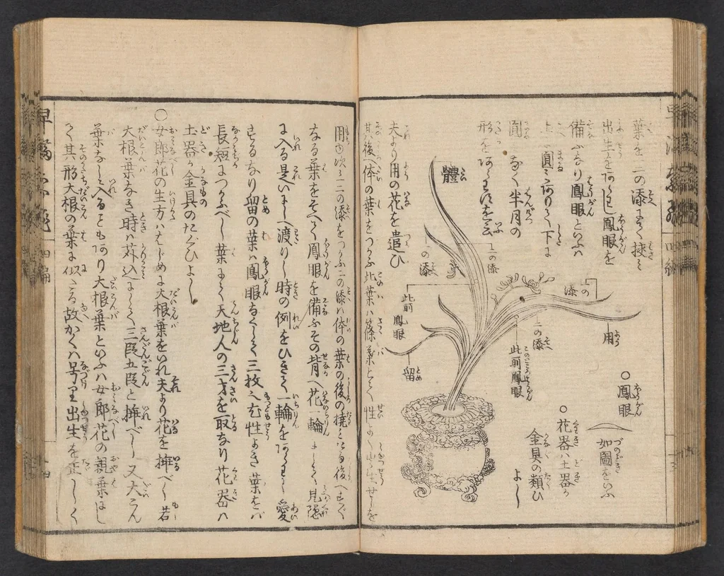 An illustration from Ikebana hayamanabi, 1851, leaf 15