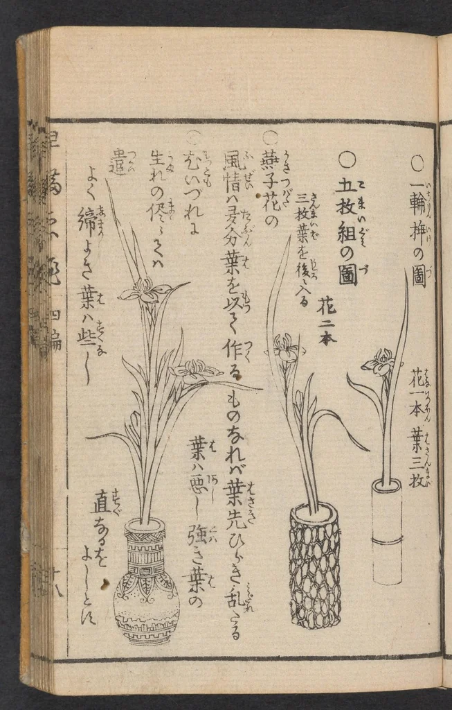 An illustration from Ikebana hayamanabi, 1851, leaf 19