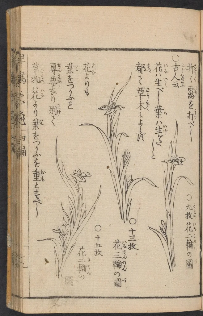 An illustration from Ikebana hayamanabi, 1851, leaf 20