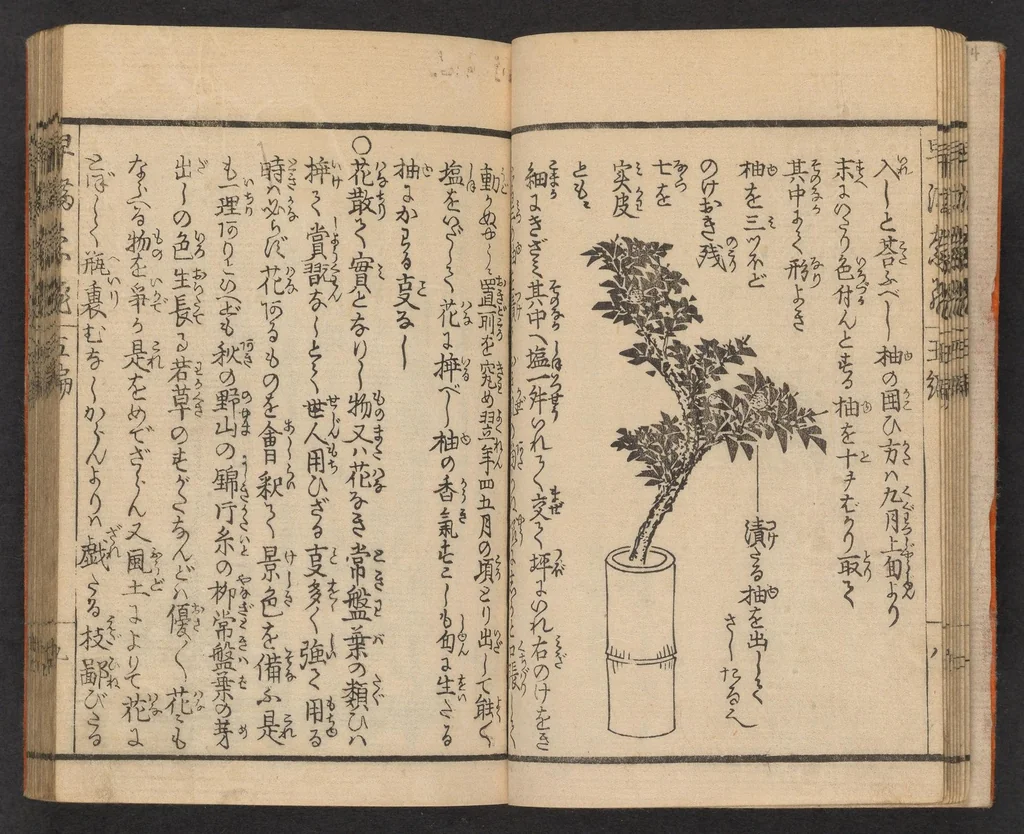 An illustration from Ikebana hayamanabi, 1851, leaf 10