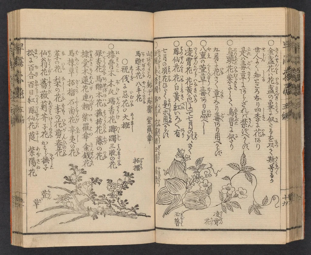 An illustration from Ikebana hayamanabi, 1851, leaf 21