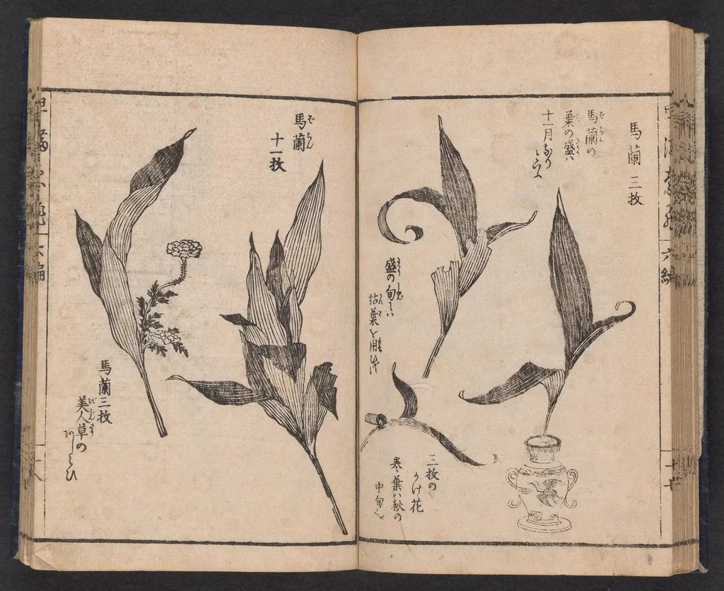 An illustration from Ikebana hayamanabi, 1851, leaf 20