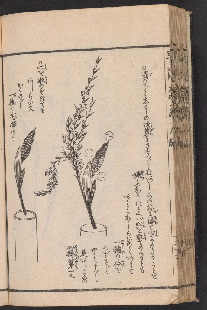An illustration from Ikebana hayamanabi, 1851, leaf 27