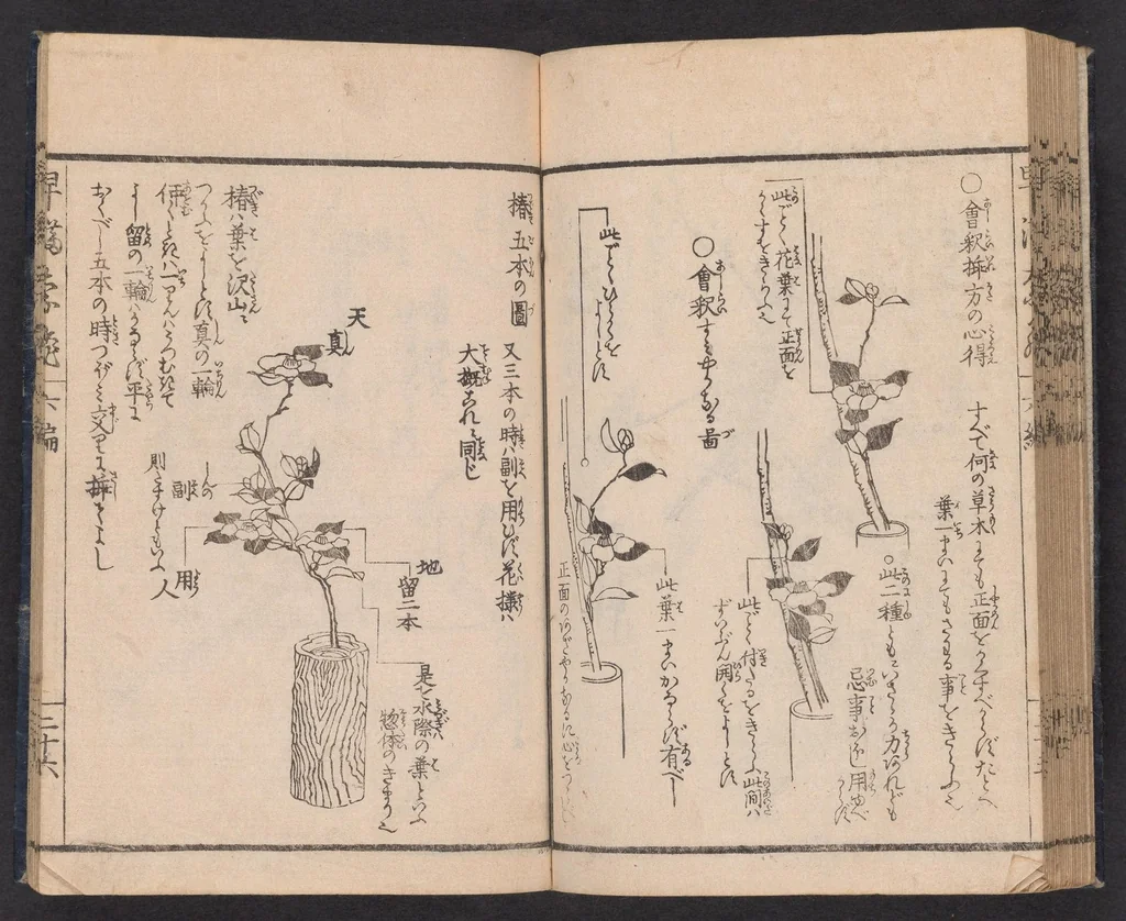 An illustration from Ikebana hayamanabi, 1851, leaf 28