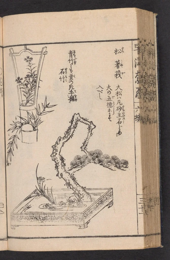 An illustration from Ikebana hayamanabi, 1851, leaf 34