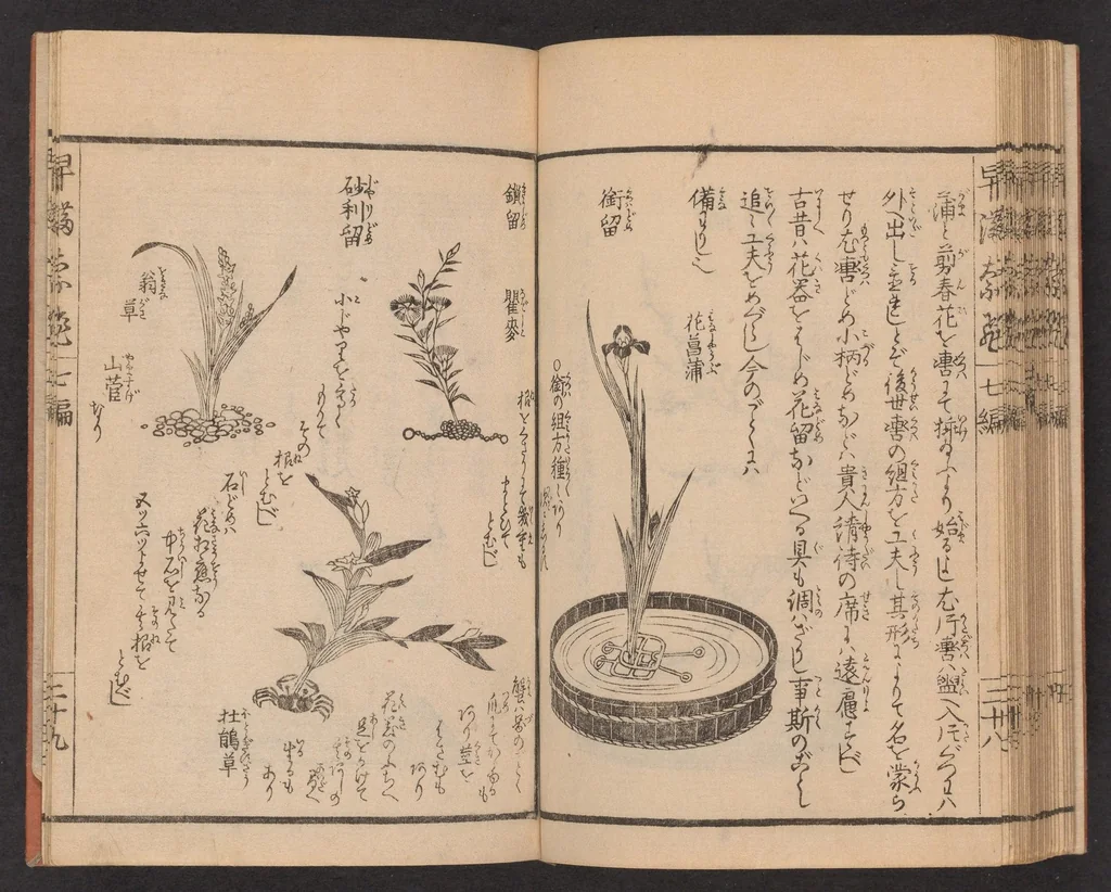 An illustration from Ikebana hayamanabi, 1851, leaf 30