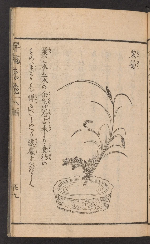 An illustration from Ikebana hayamanabi, 1851, leaf 30