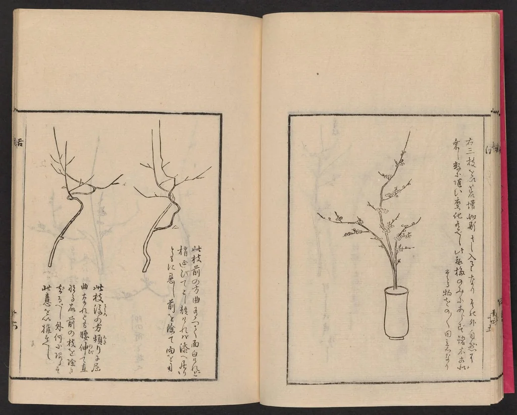 An illustration from Ikebana tebikigusa : Seizan Onke Goryū, 1868, leaf 21
