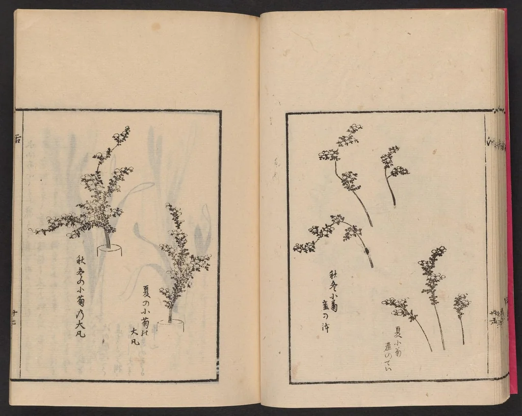 An illustration from Ikebana tebikigusa : Seizan Onke Goryū, 1868, leaf 32