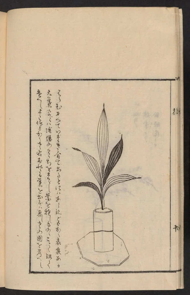 An illustration from Ikebana tebikigusa : Seizan Onke Goryū, 1868, leaf 13