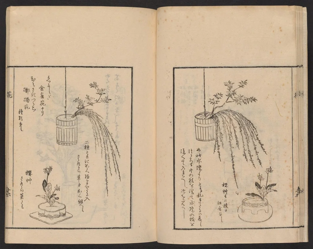 An illustration from Ikebana tebikigusa : Seizan Onke Goryū, 1868, leaf 18