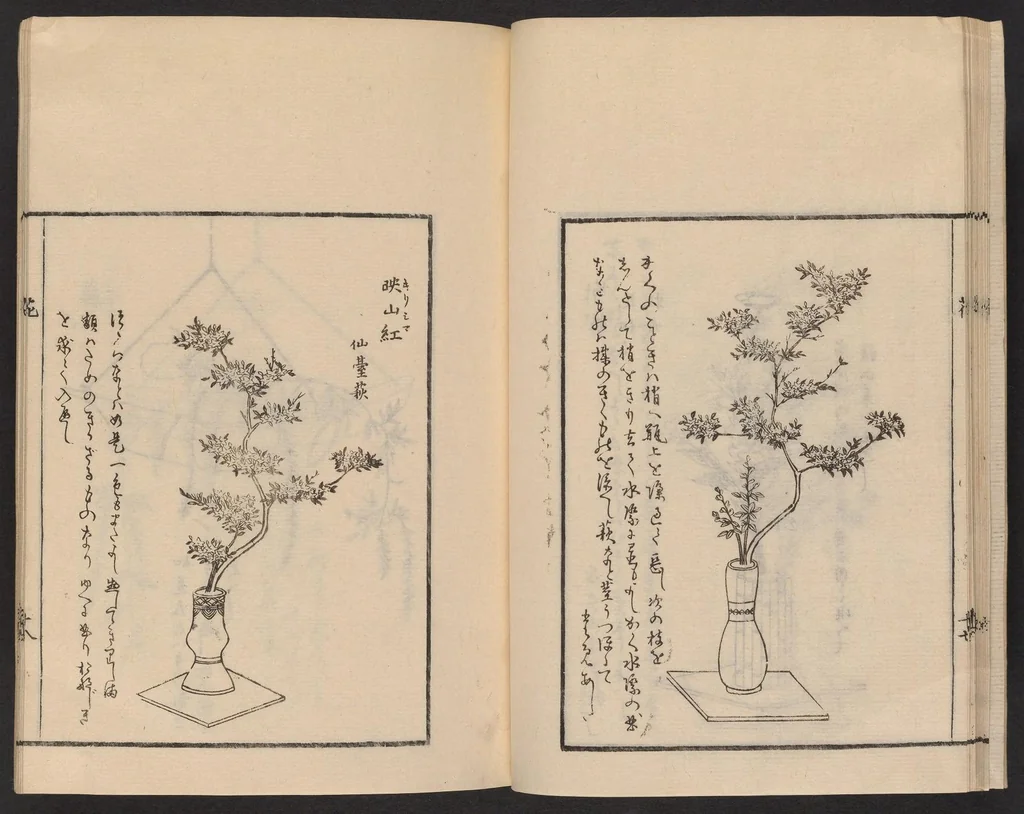An illustration from Ikebana tebikigusa : Seizan Onke Goryū, 1868, leaf 20