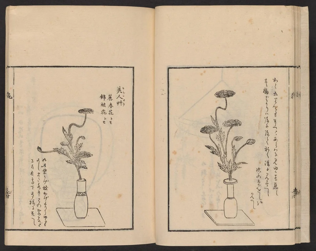 An illustration from Ikebana tebikigusa : Seizan Onke Goryū, 1868, leaf 22