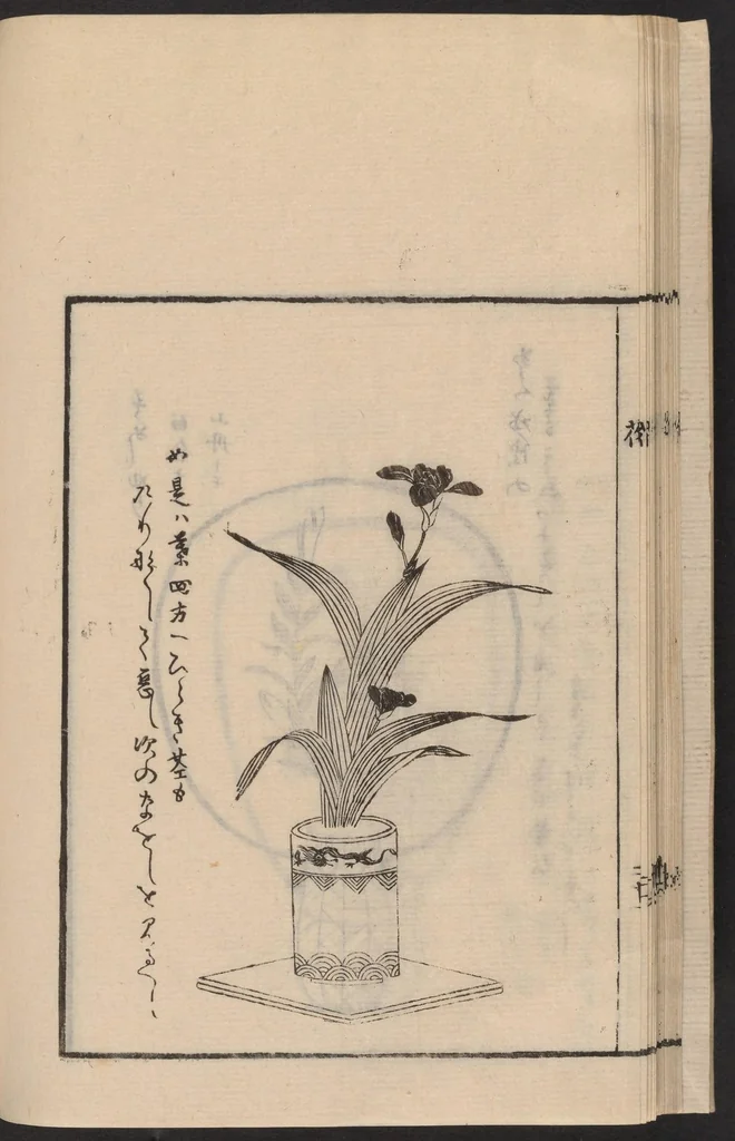 An illustration from Ikebana tebikigusa : Seizan Onke Goryū, 1868, leaf 24