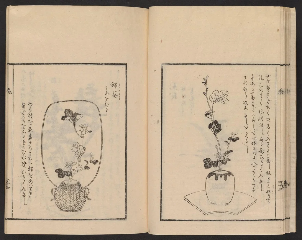 An illustration from Ikebana tebikigusa : Seizan Onke Goryū, 1868, leaf 26