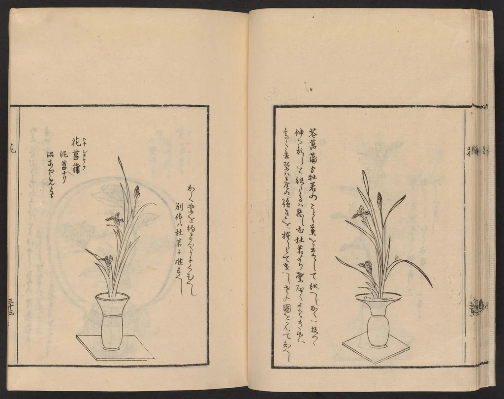 An illustration from Ikebana tebikigusa : Seizan Onke Goryū, 1868, leaf 35