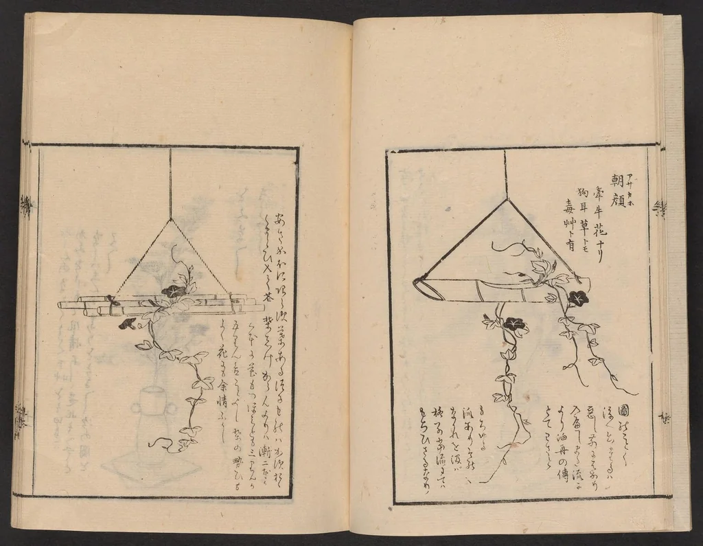 An illustration from Ikebana tebikigusa : Seizan Onke Goryū. Zenpen, 1868, leaf 12