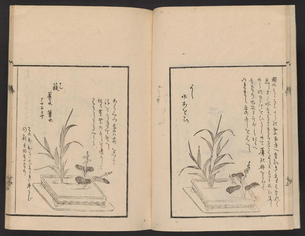 An illustration from Ikebana tebikigusa : Seizan Onke Goryū. Zenpen, 1868, leaf 15