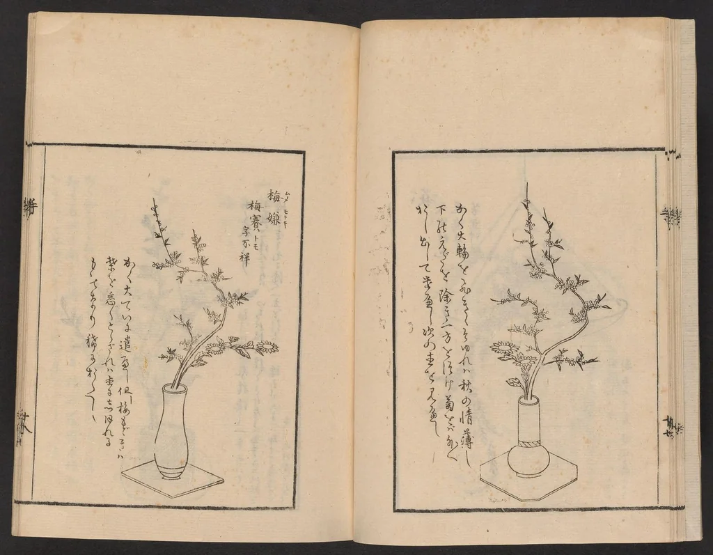 An illustration from Ikebana tebikigusa : Seizan Onke Goryū. Zenpen, 1868, leaf 19