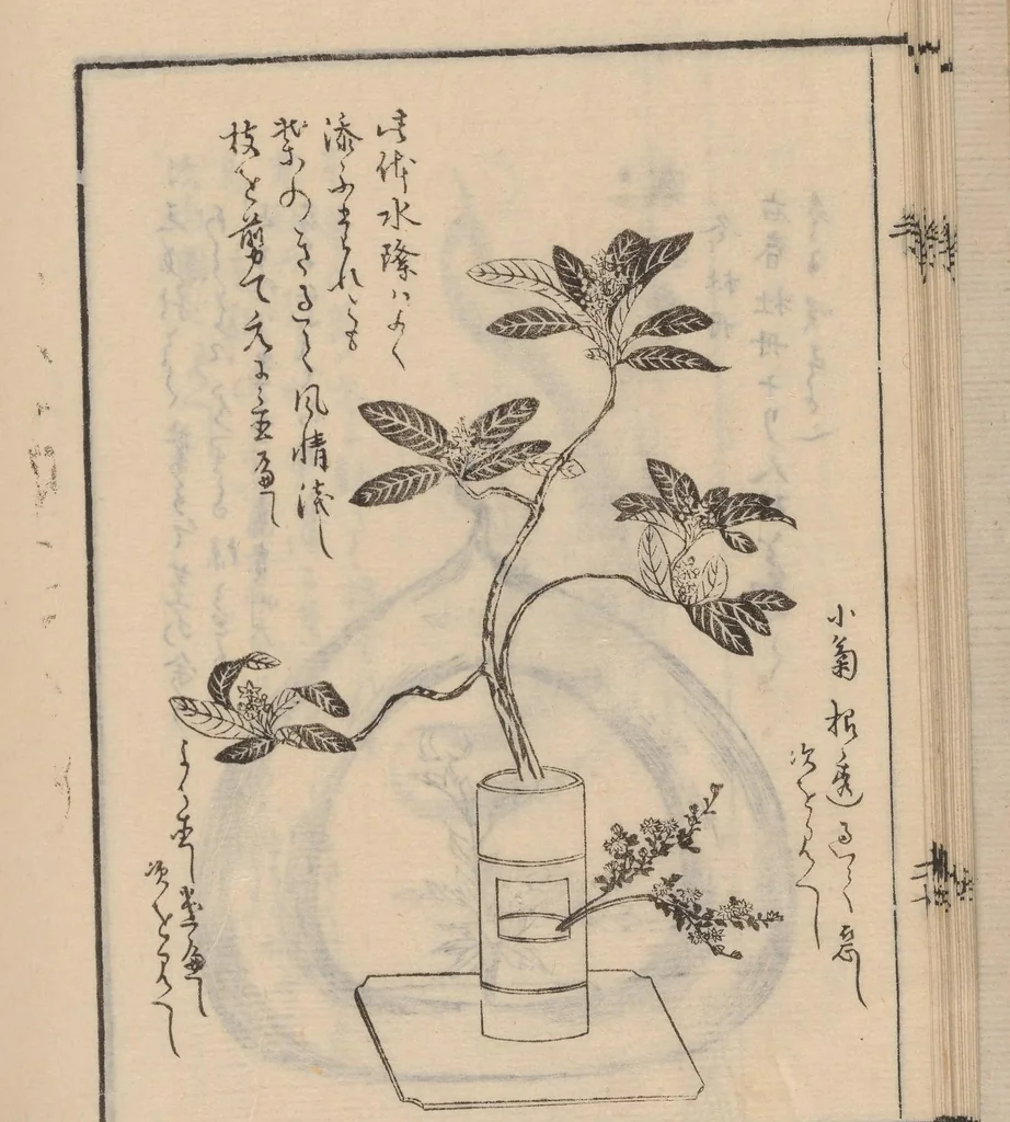 An illustration from Ikebana tebikigusa : Seizan Onke Goryū. Zenpen, 1868, leaf 22