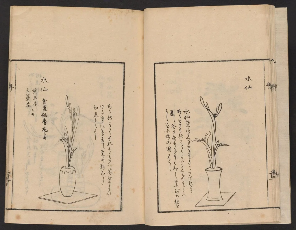 An illustration from Ikebana tebikigusa : Seizan Onke Goryū. Zenpen, 1868, leaf 23