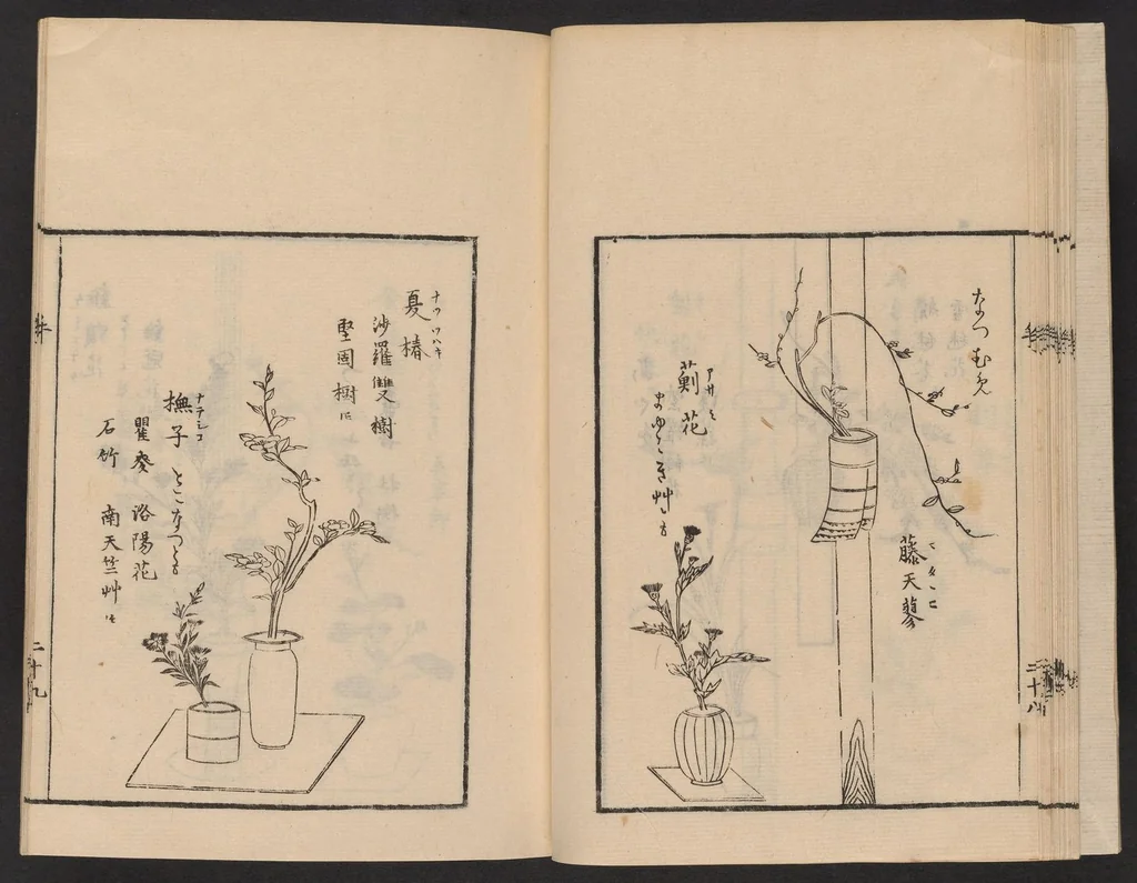 An illustration from Ikebana tebikigusa : Seizan Onke Goryū. Zenpen, 1868, leaf 30