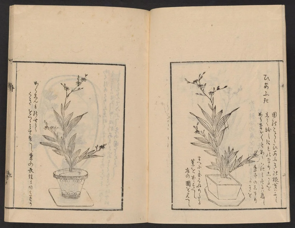 An illustration from Ikebana tebikigusa : Seizan Onke Goryū. Zenpen, 1868, leaf 4