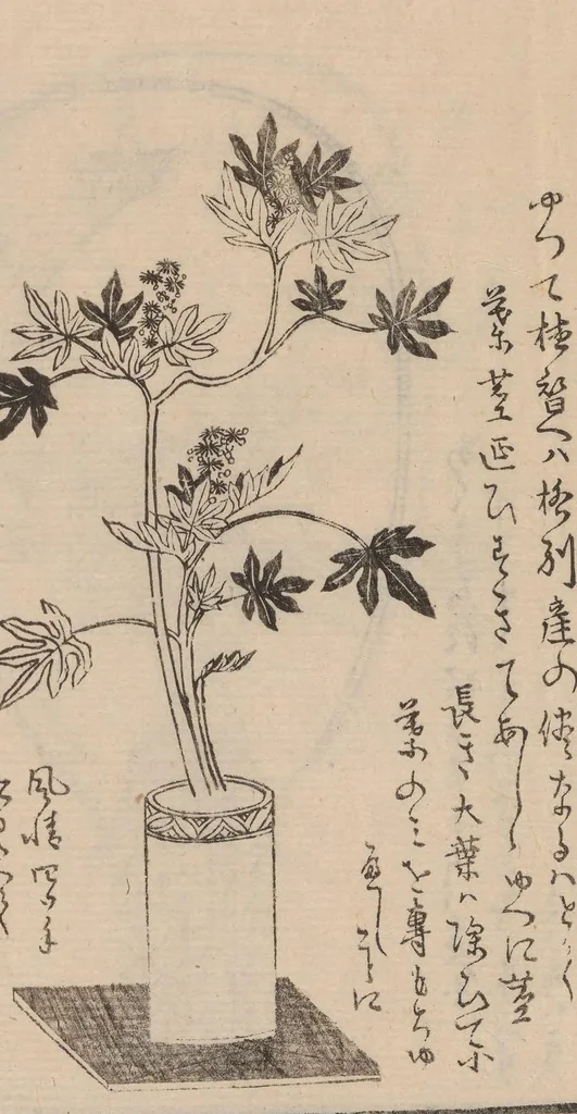 An illustration from Ikebana tebikigusa : Seizan Onke Goryū. Zenpen, 1868, leaf 6