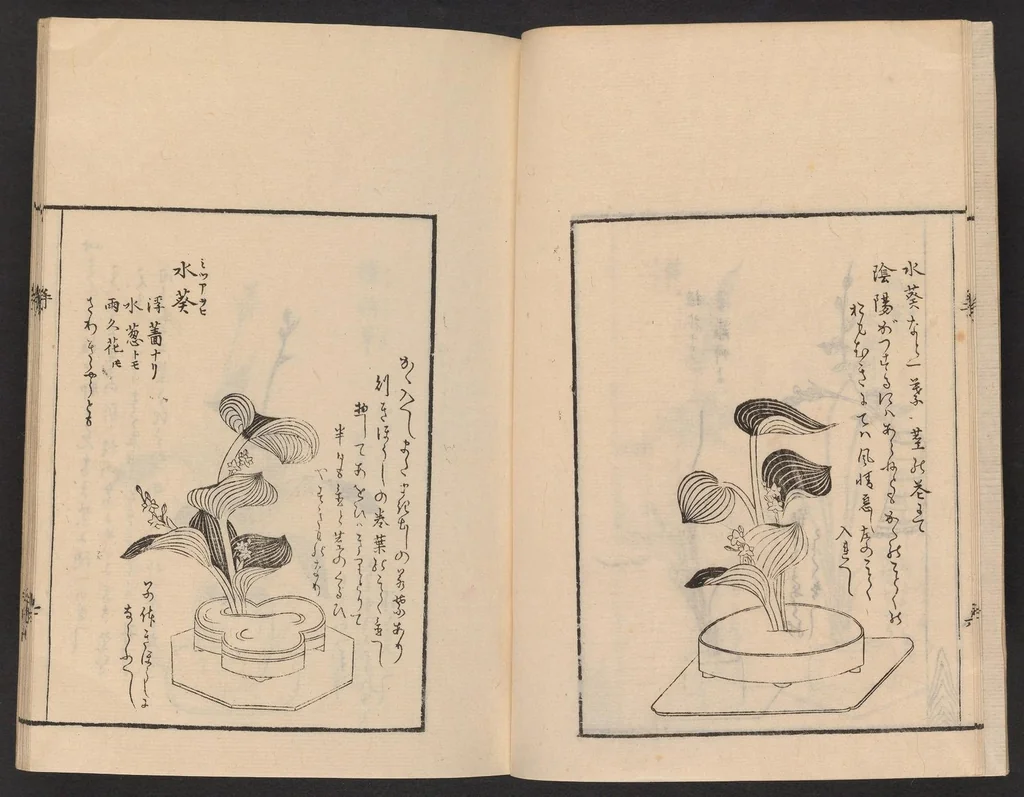 An illustration from Ikebana tebikigusa : Seizan Onke Goryū. Zenpen, 1868, leaf 8
