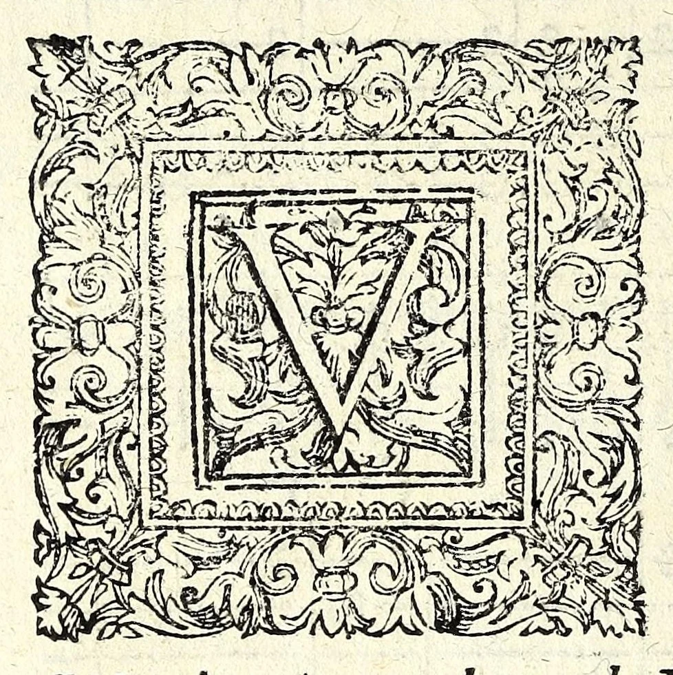 An illustration from Il ballarino, 1581, leaf 152