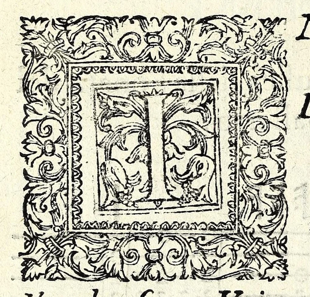 An illustration from Il ballarino, 1581, leaf 156