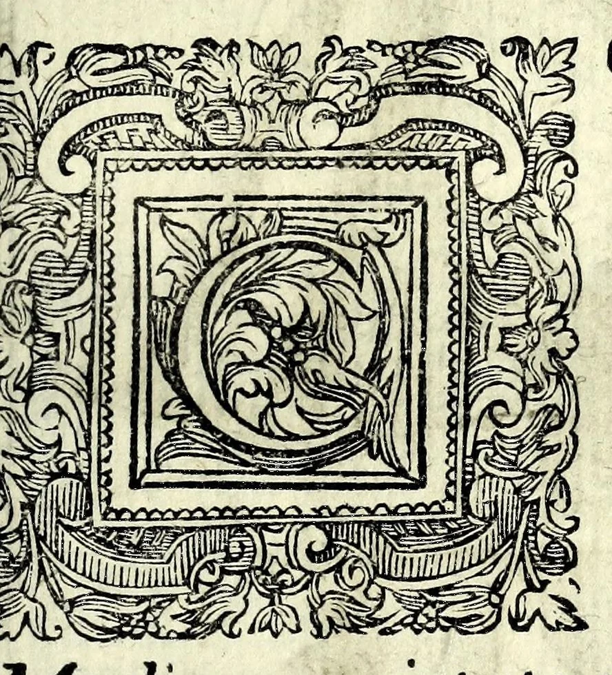 An illustration from Il ballarino, 1581, leaf 161