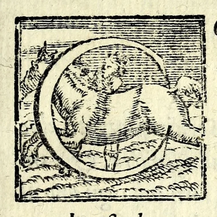 An illustration from Il ballarino, 1581, leaf 189
