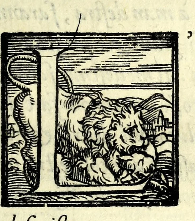 An illustration from Il ballarino, 1581, leaf 237